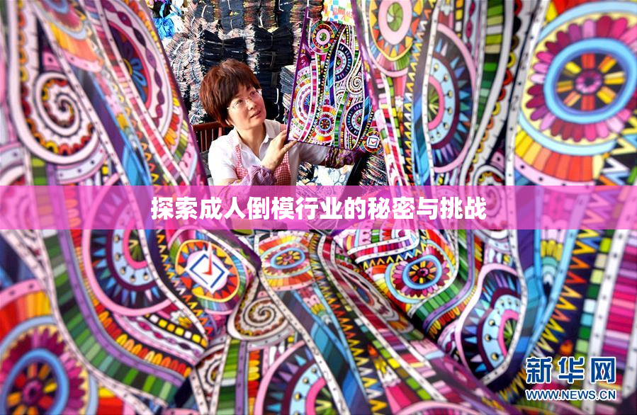 探索成人倒模行业的秘密与挑战
