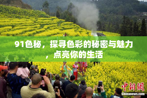 91色秘，探寻色彩的秘密与魅力，点亮你的生活
