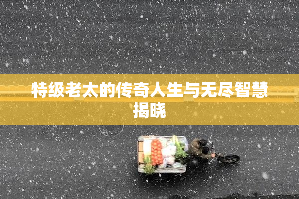 特级老太的传奇人生与无尽智慧揭晓