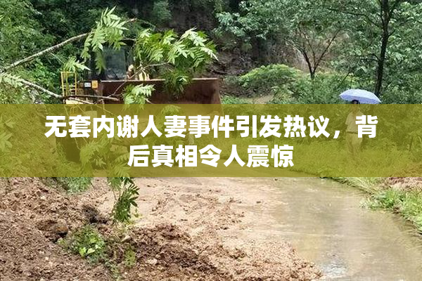 无套内谢人妻事件引发热议，背后真相令人震惊