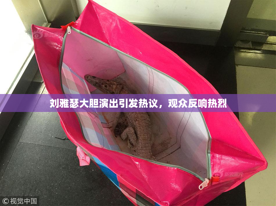 刘雅瑟大胆演出引发热议，观众反响热烈
