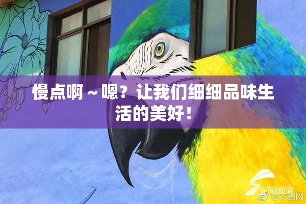 慢点啊～嗯？让我们细细品味生活的美好！