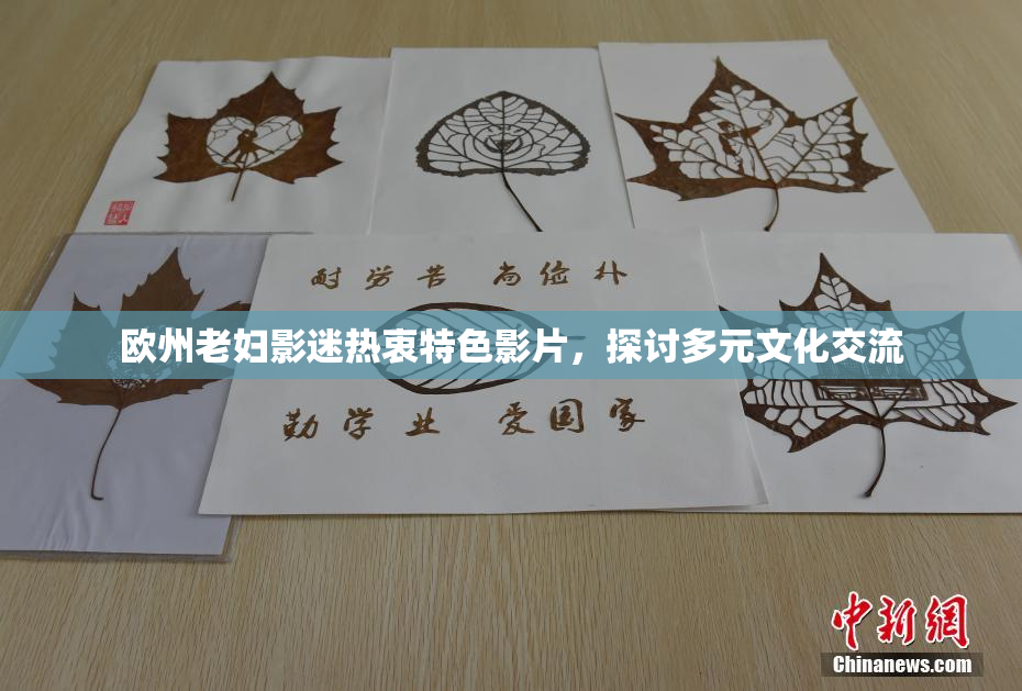 欧州老妇影迷热衷特色影片，探讨多元文化交流