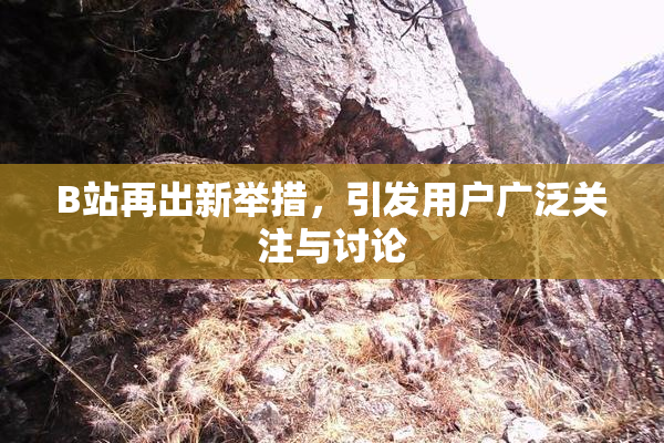 B站再出新举措，引发用户广泛关注与讨论