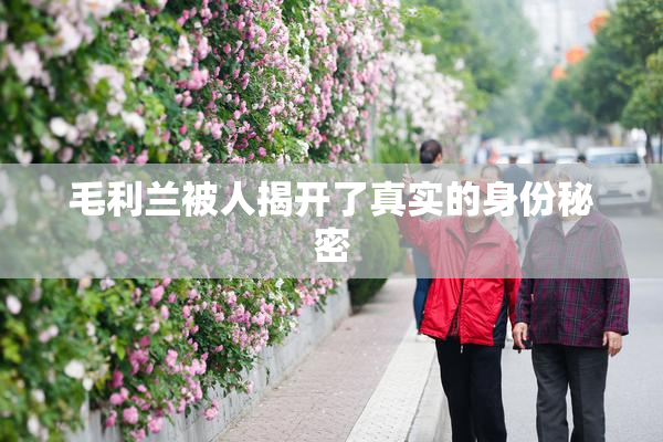 毛利兰被人揭开了真实的身份秘密