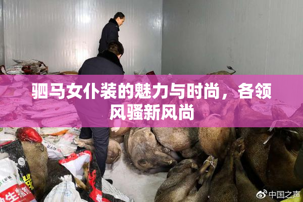驷马女仆装的魅力与时尚，各领风骚新风尚