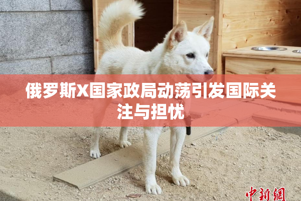 俄罗斯X国家政局动荡引发国际关注与担忧