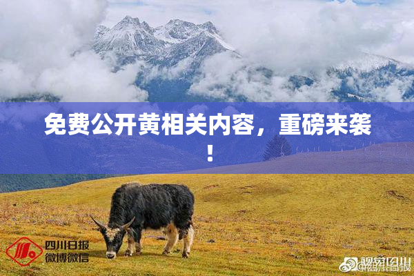 免费公开黄相关内容，重磅来袭！