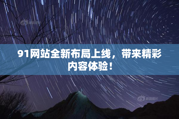 91网站全新布局上线，带来精彩内容体验！