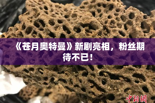 《苍月奥特曼》新剧亮相，粉丝期待不已！