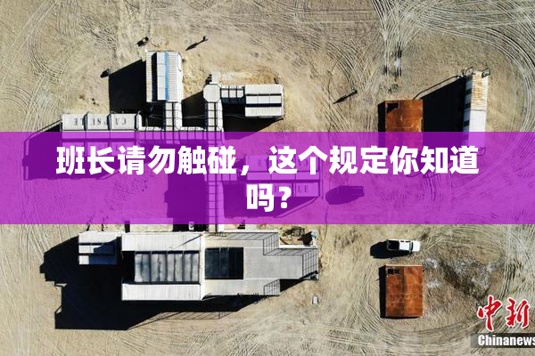 班长请勿触碰，这个规定你知道吗？