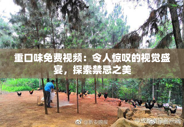 重口味免费视频：令人惊叹的视觉盛宴，探索禁忌之美