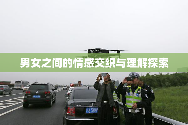 男女之间的情感交织与理解探索