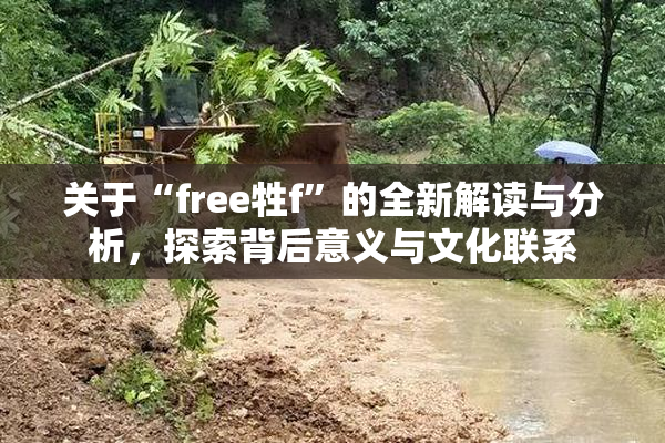 关于“free牲f”的全新解读与分析，探索背后意义与文化联系