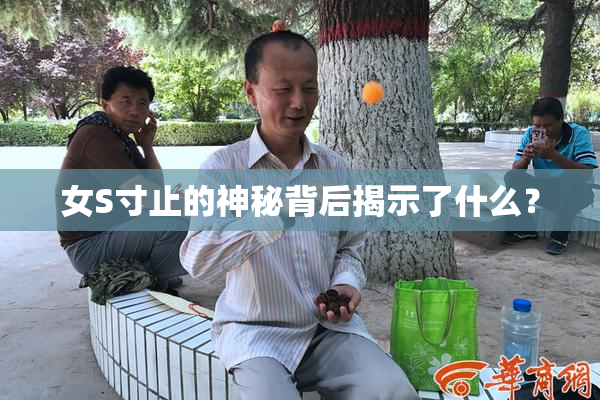 女S寸止的神秘背后揭示了什么？