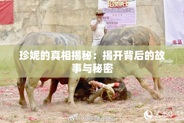 珍妮的真相揭秘：揭开背后的故事与秘密