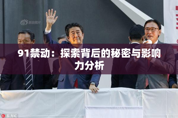 91禁动：探索背后的秘密与影响力分析