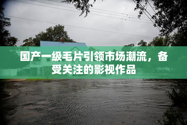 国产一级毛片引领市场潮流，备受关注的影视作品