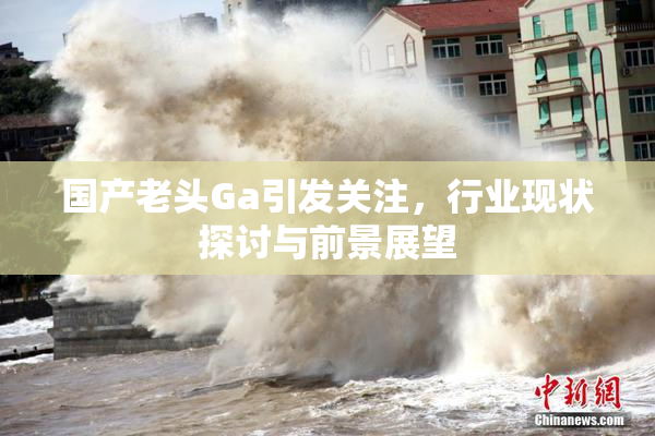 国产老头Ga引发关注，行业现状探讨与前景展望