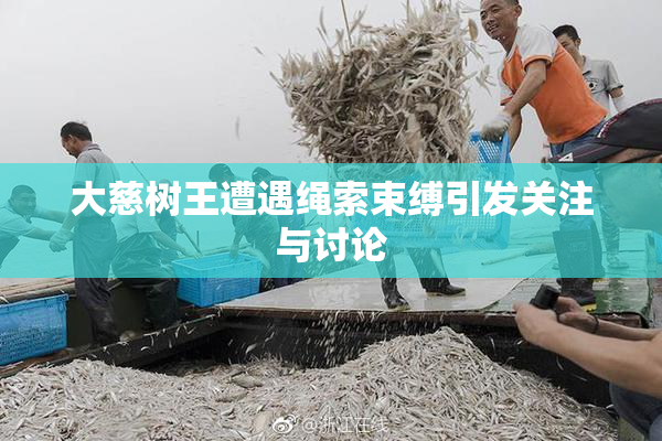 大慈树王遭遇绳索束缚引发关注与讨论