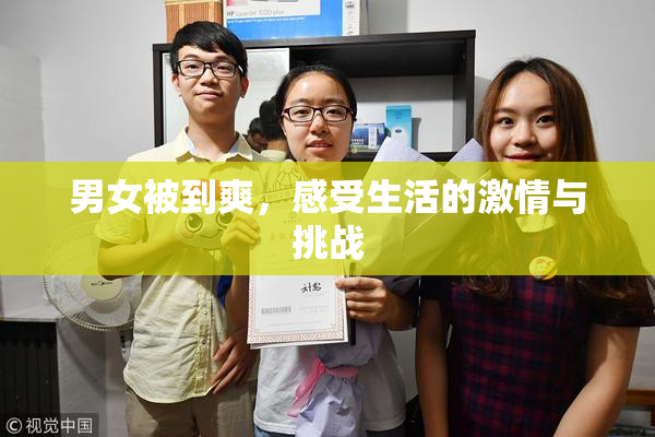 男女被到爽，感受生活的激情与挑战