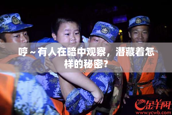 哼～有人在暗中观察，潜藏着怎样的秘密？