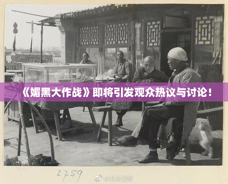 《媚黑大作战》即将引发观众热议与讨论！