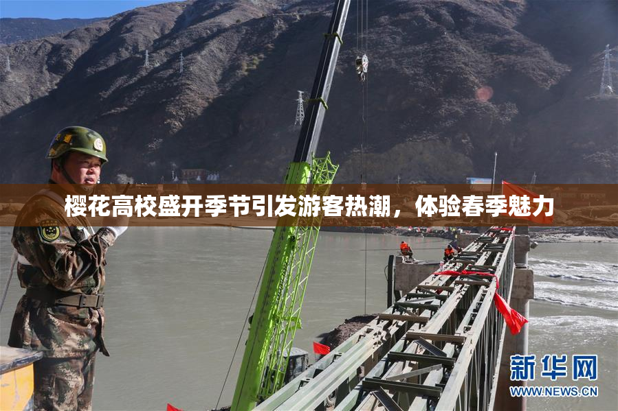 樱花高校盛开季节引发游客热潮，体验春季魅力