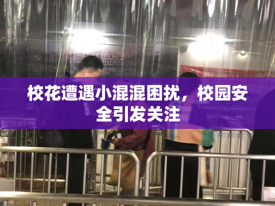 校花遭遇小混混困扰，校园安全引发关注