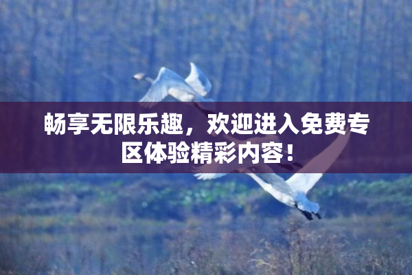 畅享无限乐趣，欢迎进入免费专区体验精彩内容！