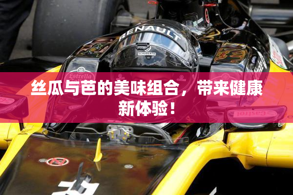 丝瓜与芭的美味组合，带来健康新体验！