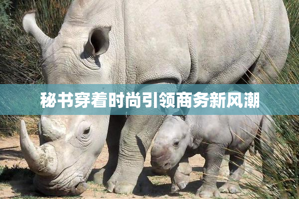 秘书穿着时尚引领商务新风潮