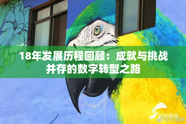18年发展历程回顾：成就与挑战并存的数字转型之路