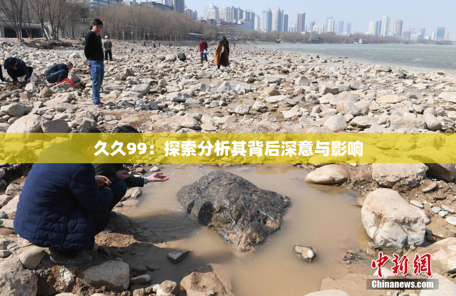 久久99：探索分析其背后深意与影响
