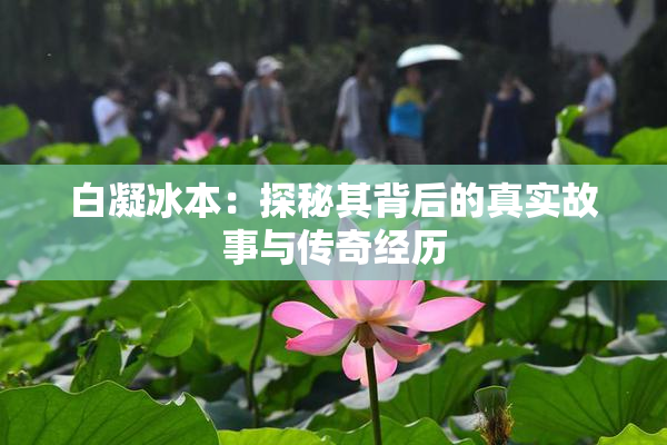 白凝冰本：探秘其背后的真实故事与传奇经历