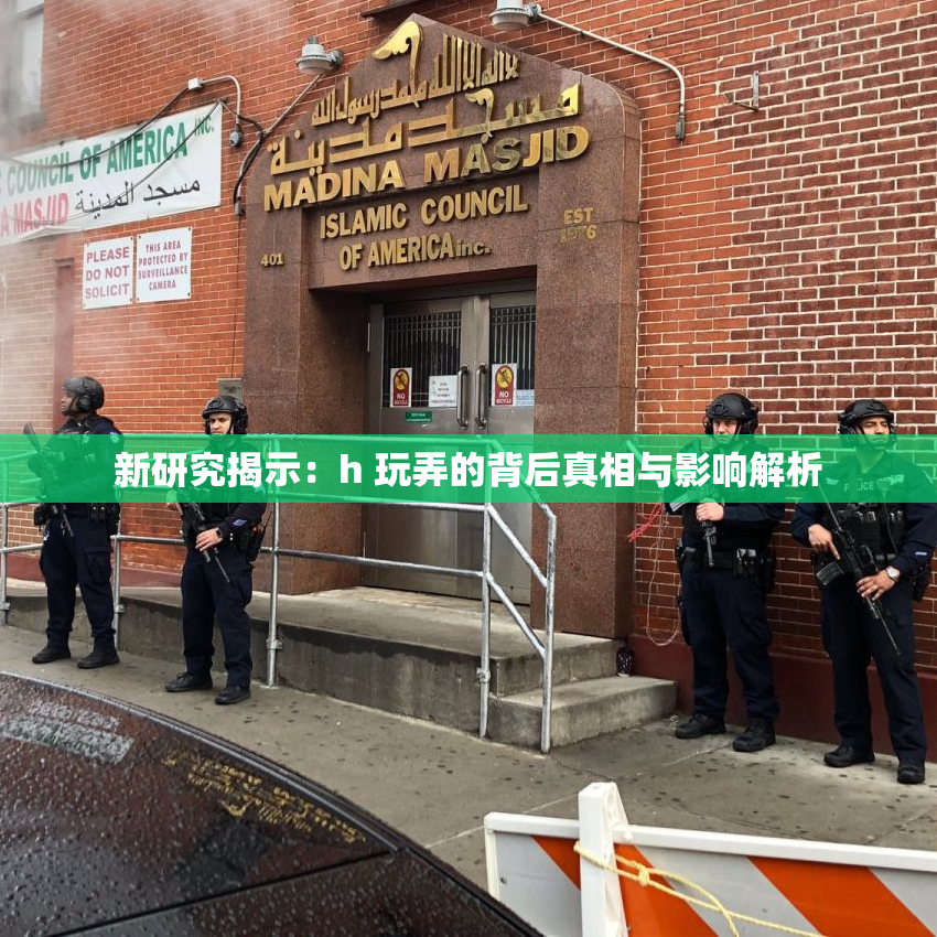 新研究揭示：h 玩弄的背后真相与影响解析