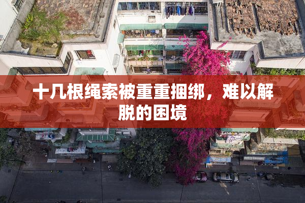 十几根绳索被重重捆绑，难以解脱的困境