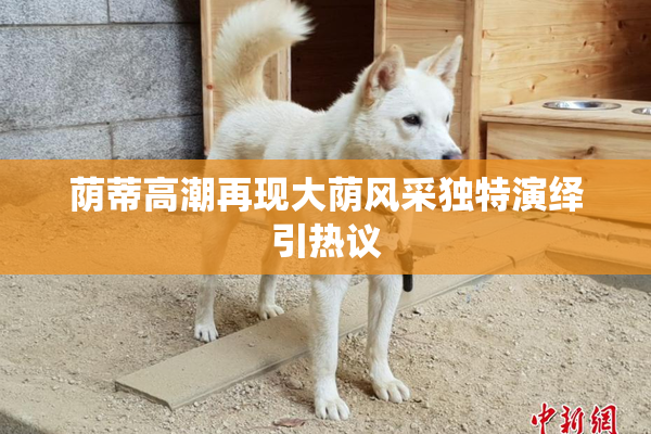 荫蒂高潮再现大荫风采独特演绎引热议