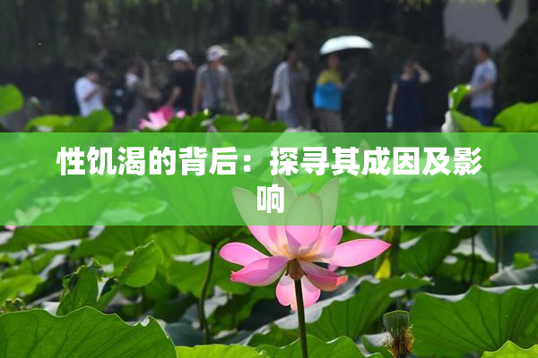 性饥渴的背后：探寻其成因及影响