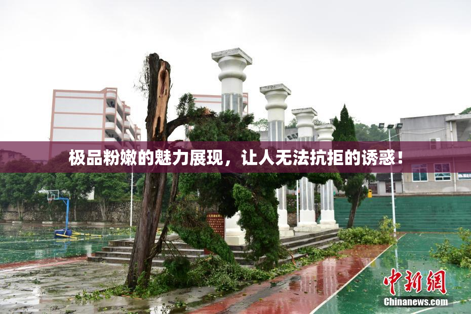 极品粉嫩的魅力展现，让人无法抗拒的诱惑！