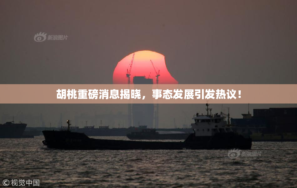 胡桃重磅消息揭晓，事态发展引发热议！