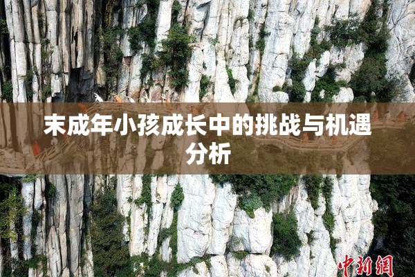 末成年小孩成长中的挑战与机遇分析