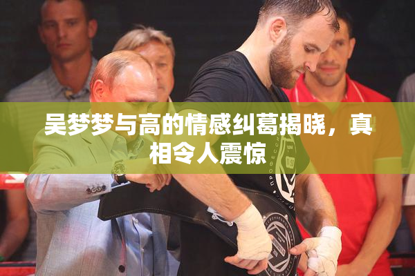 吴梦梦与高的情感纠葛揭晓，真相令人震惊