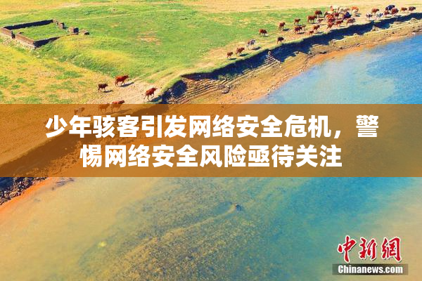少年骇客引发网络安全危机，警惕网络安全风险亟待关注