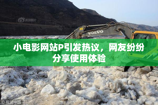 小电影网站P引发热议，网友纷纷分享使用体验
