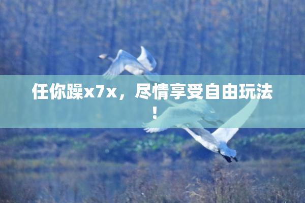 任你躁x7x，尽情享受自由玩法！