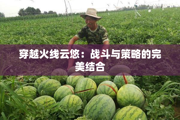 穿越火线云悠：战斗与策略的完美结合