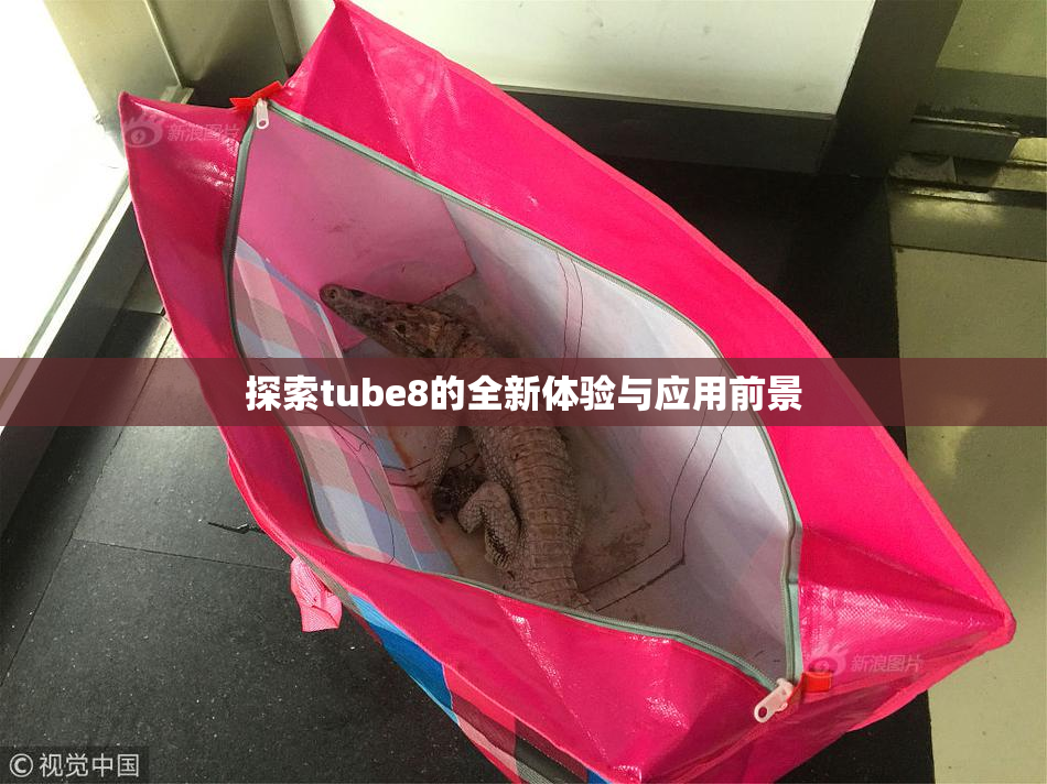 探索tube8的全新体验与应用前景