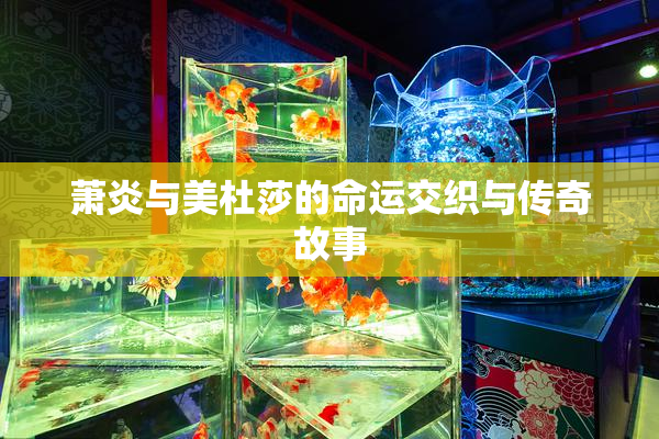 萧炎与美杜莎的命运交织与传奇故事