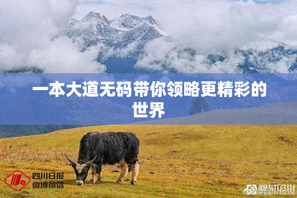 一本大道无码带你领略更精彩的世界